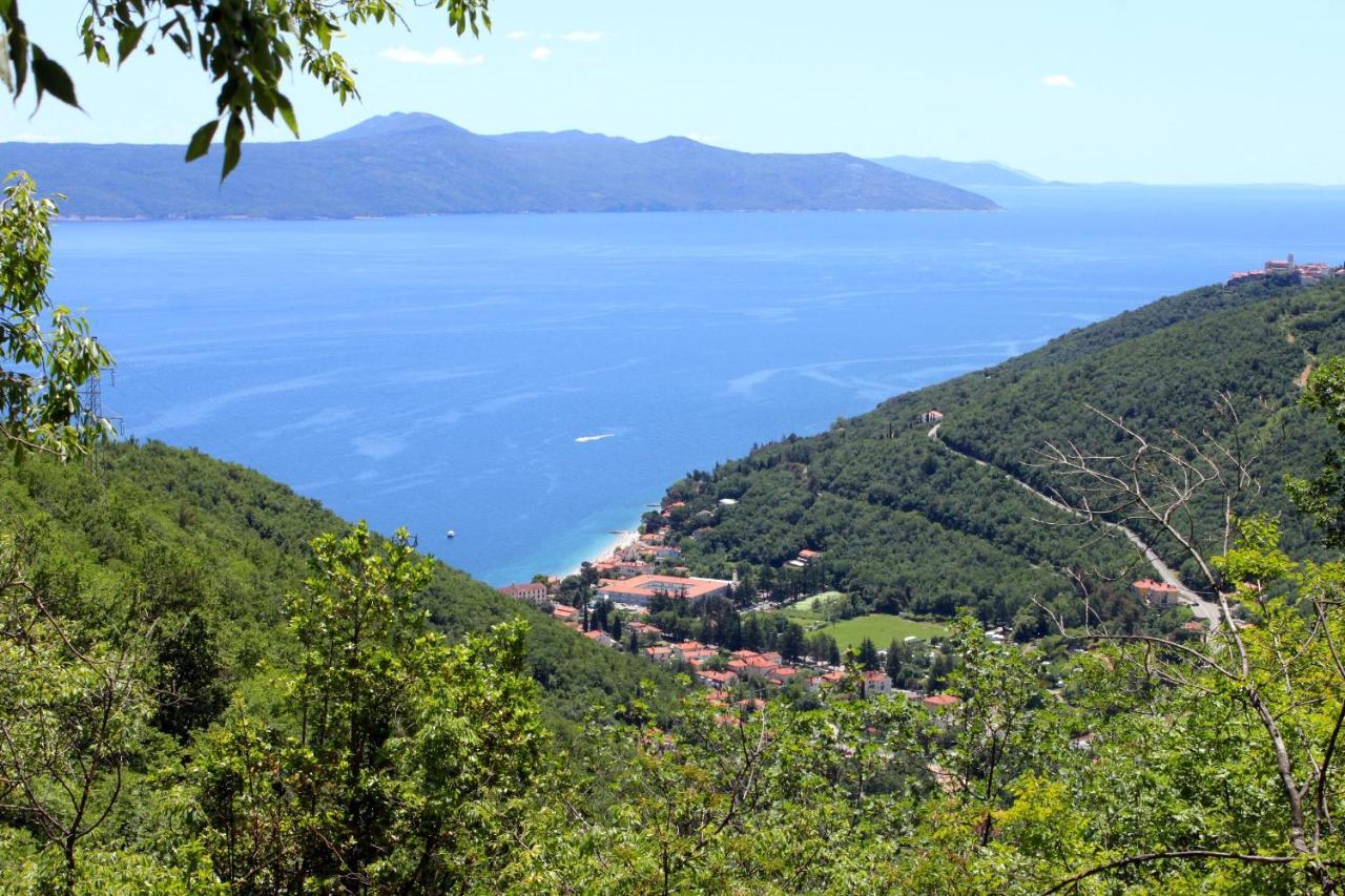 Apartments With A Parking Space Moscenicka Draga, Opatija - 7766 Экстерьер фото